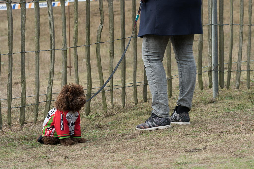 RaboCycloCross2016-11.jpg