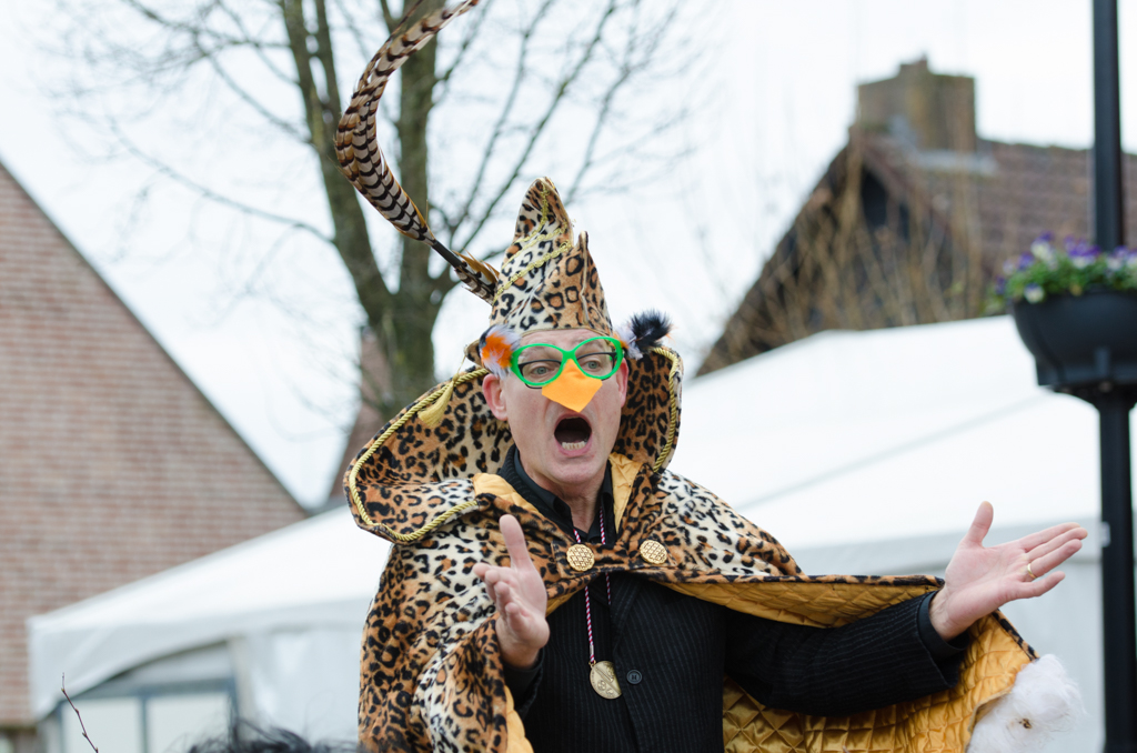 Carnaval2017Optocht-114.jpg