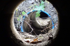 Aanleg_Faunapassages_Herselseweg_2018_005