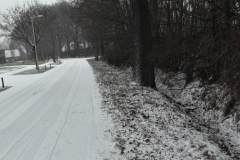 SAM_2967