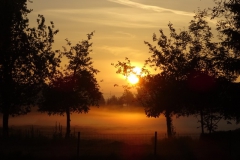 4-de Boomen