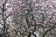 20180409_150753