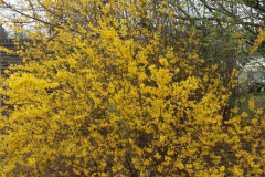 20180409_151051