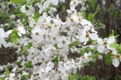 20180409_152756