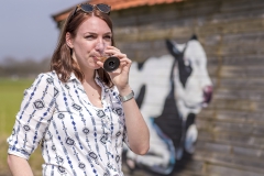 Koeienstal Lierop (10)