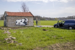 Koeienstal Lierop (11)