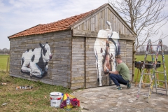 Koeienstal Lierop (12)