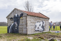 Koeienstal Lierop (15)