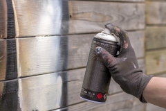 Koeienstal Lierop (2)