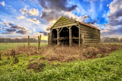 Koeienstal Lierop (24)