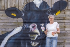 Koeienstal Lierop (3)