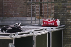 13 stilleven voetbaltas