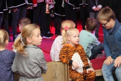 onthulling (62)