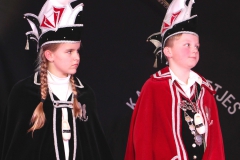 onthulling (87)