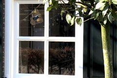 BALISBOOM-Anke-vd-Nieuwenhof