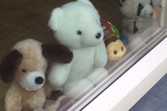 BALISBOOM-Annie-v-Bommel