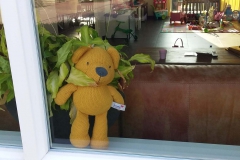 BALISBOOM-Patty-Donkers-1