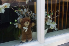 BALISBOOM-Patty-Donkers-2