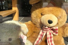 BALISBOOM-Peter-v-Vlokhoven