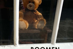 BOOMEN-Adrie-Mennen-1