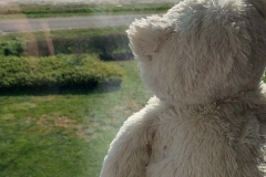 BROEKKANT-Sten-van-Nuenen