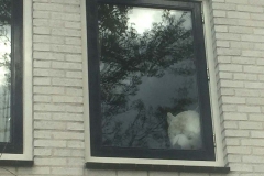 DRIEVENNESTRAAT-Freek-Maas-1