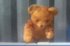 DRIEVENNESTRAAT-Marieke-Adriaans_InPixio