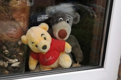 DRIEVENNESTRAAT-Mirte-Verhees