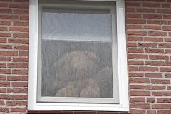 FELICITESTRAAT-Marleen-v-Lieshout