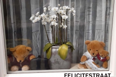 FELICITESTRAAT-Toon-en-Marleen-v-Lieshout