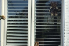 GROENSTRAAT-Joke-Megens