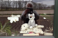 HANEKAMPWEG-Riek-van-Bussel