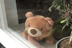 HEMELAAR-Pauline-van-Moorsel