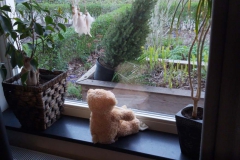 LIJESTRAAT-Farischa-Megens