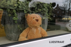 LIJESTRAAT-Mieke-Verbruggen