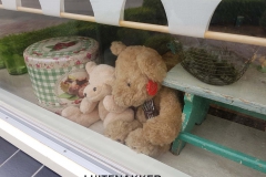 Luitenakker-Angelique-vd-Hurk