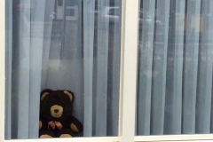 RANK-DOUCETTESTRAAT-2-J.-hendrikx