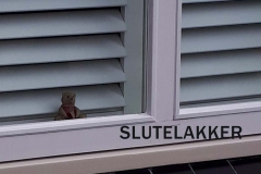 SLUTELAKKER-Albert-van-Hoof-2