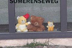 SOMERENSEWEG-Zsoske-Boot