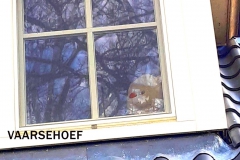 VAARSEHOEF-Lobke-vd-Heuvel-1_InPixio