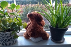 VAN-DIJKSTRAAT-27-Willeke-Cranenbroek