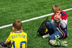 twee-kids-op-veld-sverige