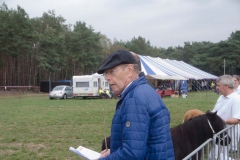 Fokpaardendag 2019