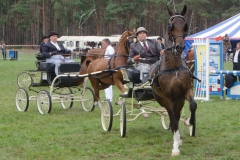 PMA_9446