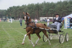 PMA_9448