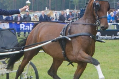 PMA_9459