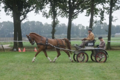 PMA_9467