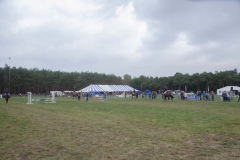 PMA_9483