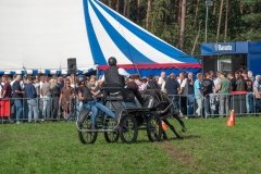 DSC09090