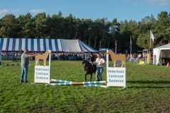 DSC09095